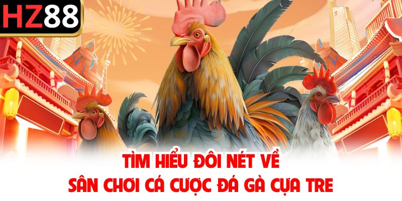 Tìm hiểu đôi nét về sân chơi cá cược đá gà cựa tre